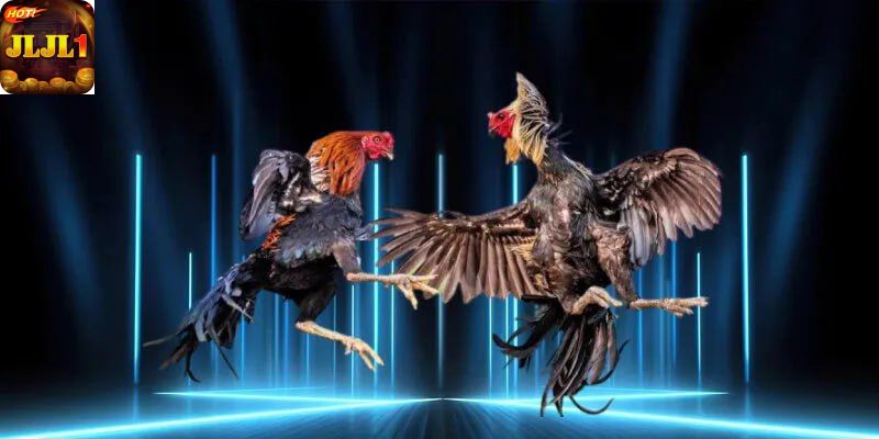 Player Engagement and Long-Term Experience