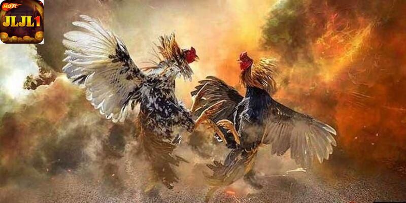 Professional strategies for arena betting success